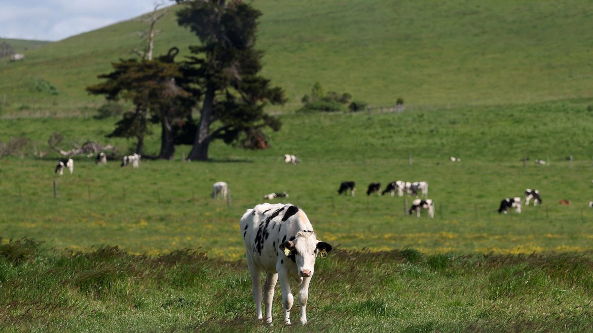 America’s Infectious-Disease Barometer Is Off